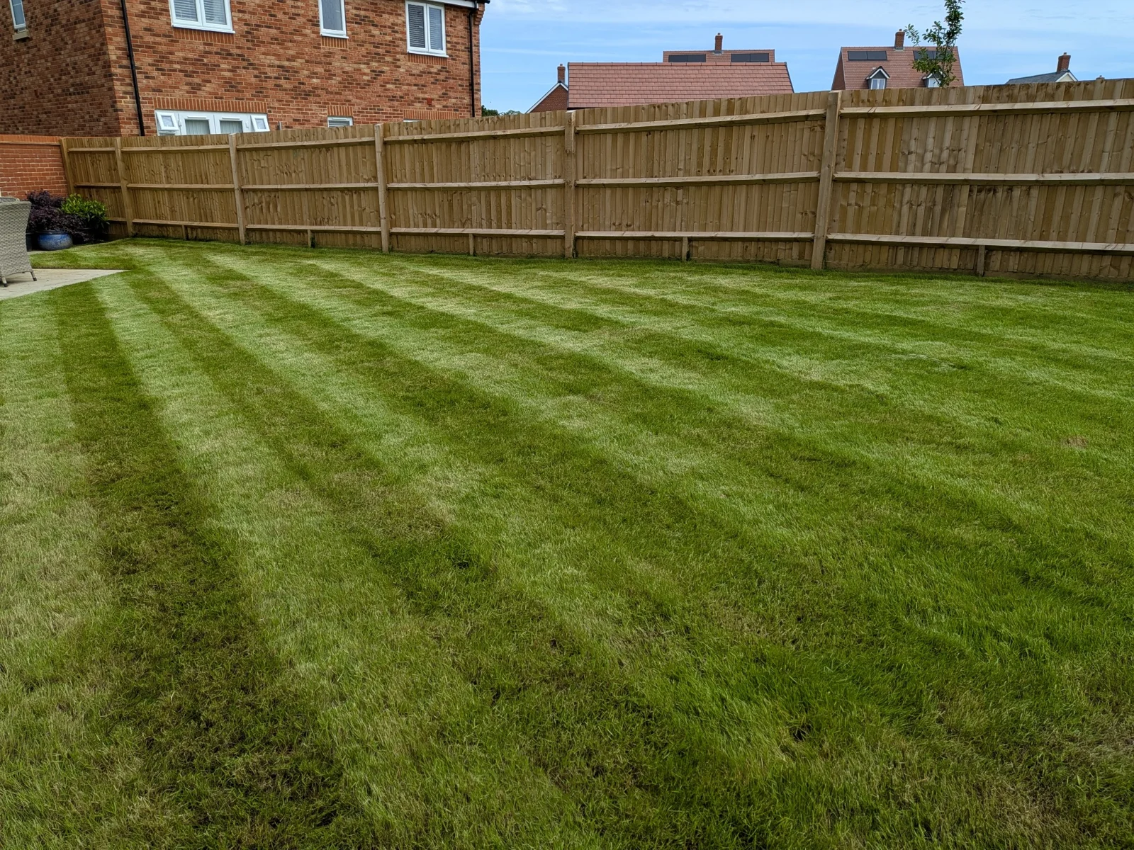 Fenced garden with freshly mown lawn stripes